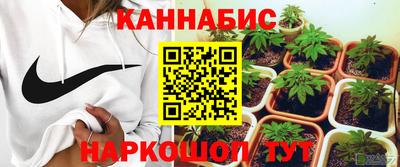 крисы Гудермес