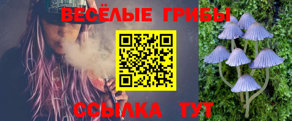 Псилоцибиновые грибы мицелий  Вход с VPN  Горно-Алтайск 