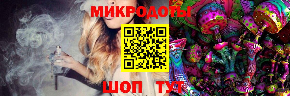 Галлюциногенные грибы Psilocybe Горно-Алтайск